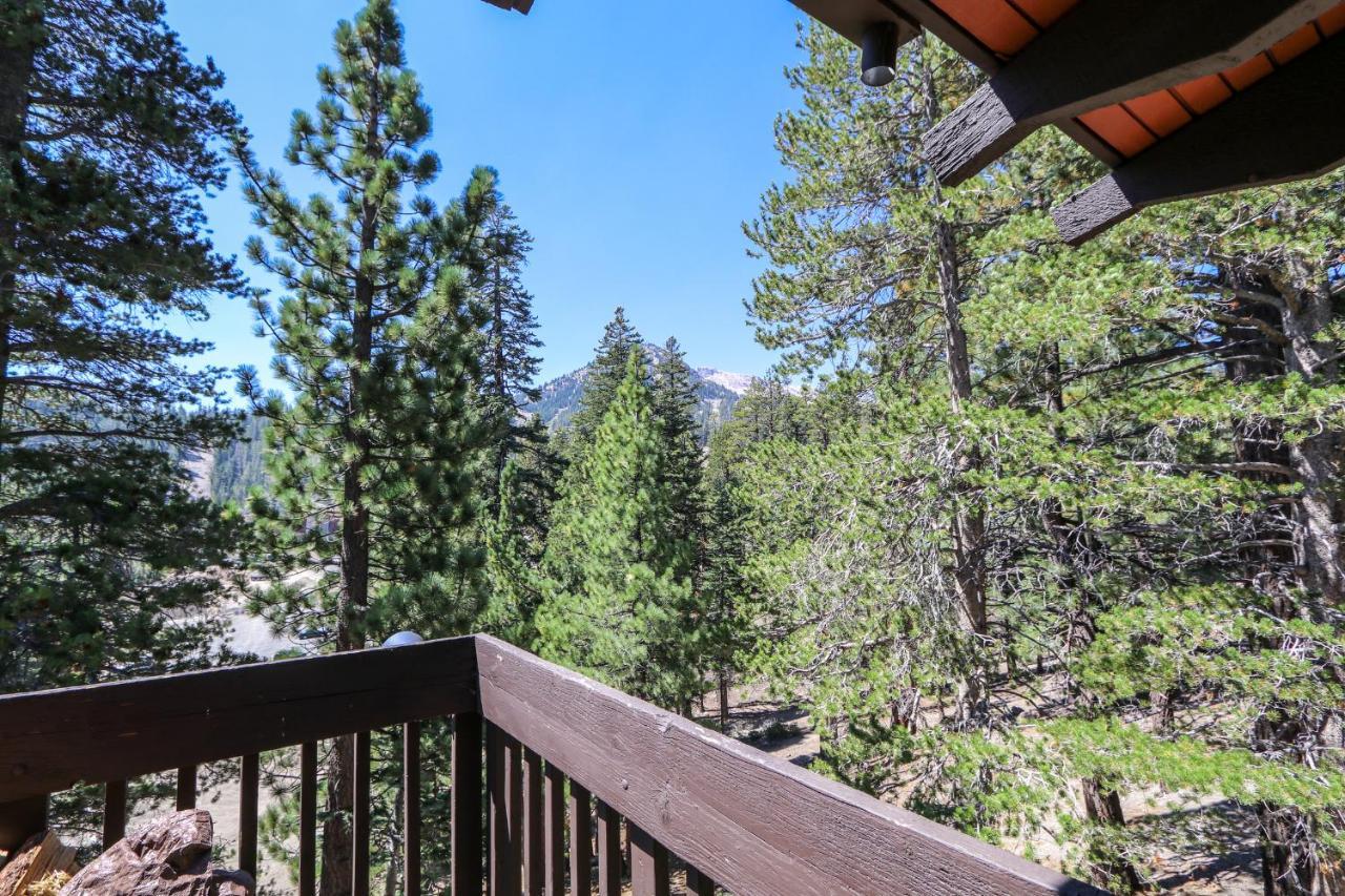 Mammoth West #143