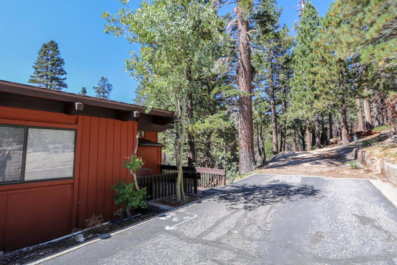 Mammoth West #143